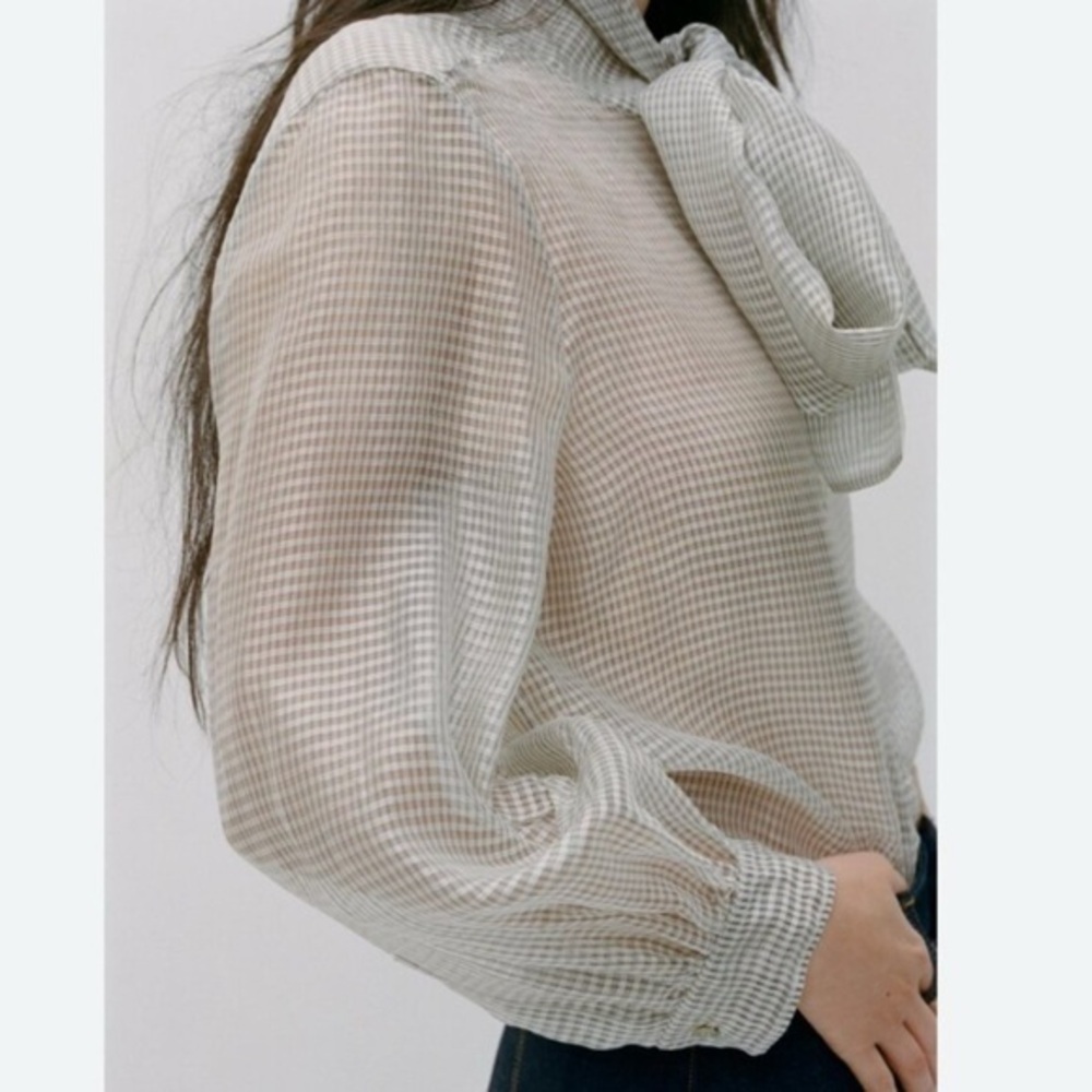 NWT Organza Sheer zara shirt